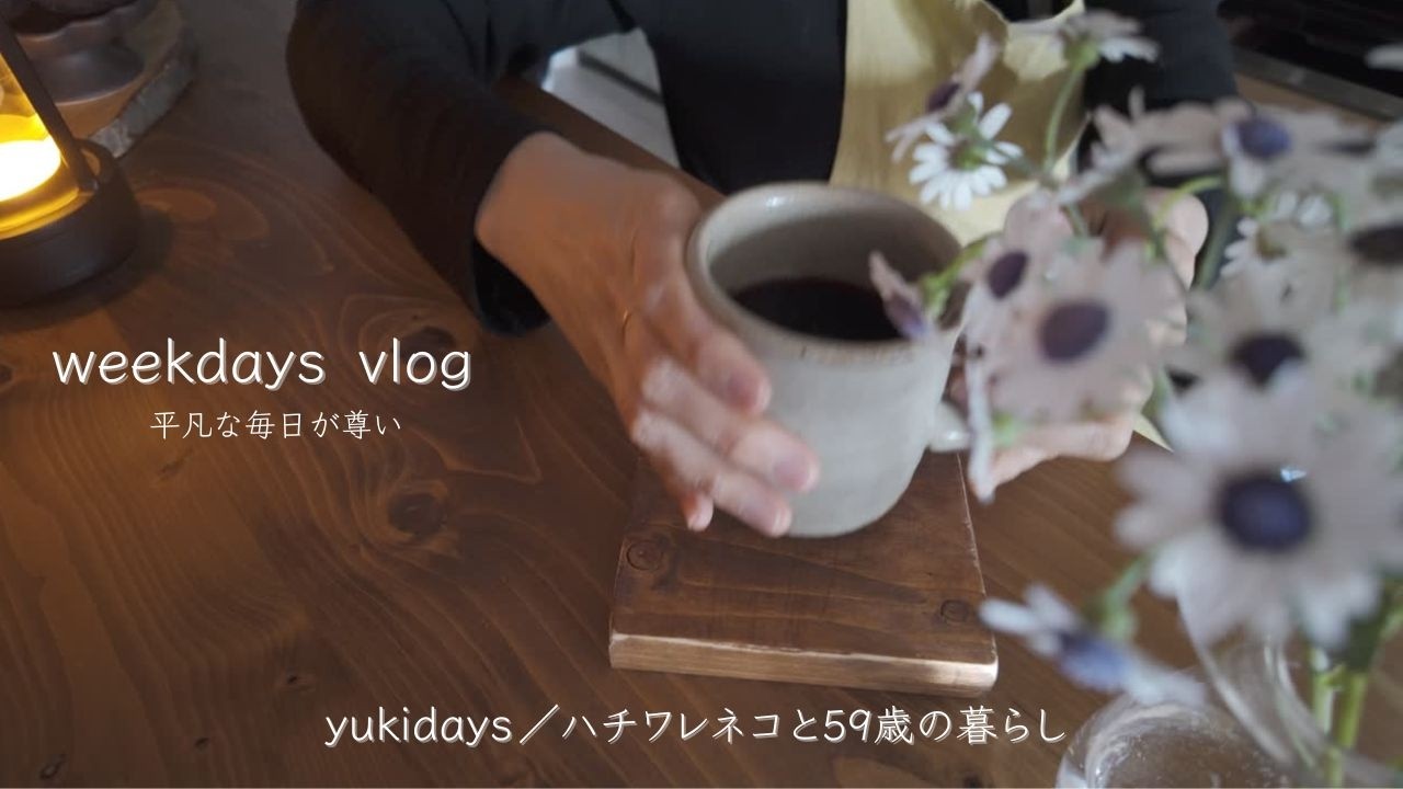 yukidays /ハチワレネコと59歳の暮らし　【weekdays vlog】