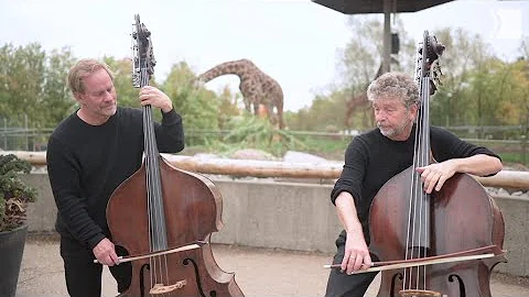 TSO Double Basses Timothy Dawson and Paul Rogers p...