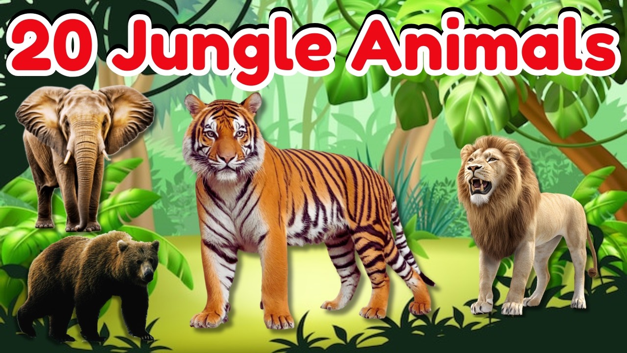 Jungle Animals for Kids | Learn Wild Animals Name English Hindi - YouTube