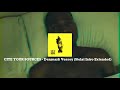CITE YOUR SOURCES - Denmark Vessey (Stolat Intro Extended)