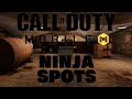 Call of Duty Mobile: Ninja Spots (Coastal)