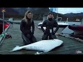 Трофейная Подводная Охота в Норвегии. Палтус Big Halibut. Spearfishing in Norway.