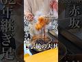 62年継ぎ足し続けた秘伝のタレ