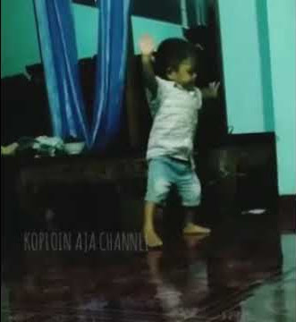 STORY WA ANAK KECIL JOGET REOG