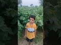 poem for kids nani ke ghar #kidsvideo #kidslearning #kidspoem #whatsappshorts #kidsfun #poems