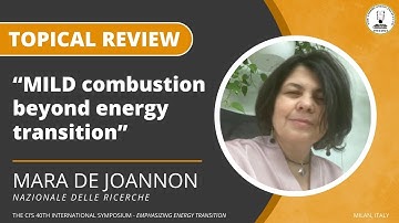 Topical Review by Dr. Mara de Joannon (40th ISOC - Emphasizing Energy Transition)