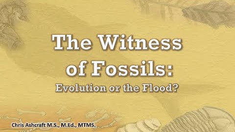 The Witness of Fossils: Evolution or the Flood
