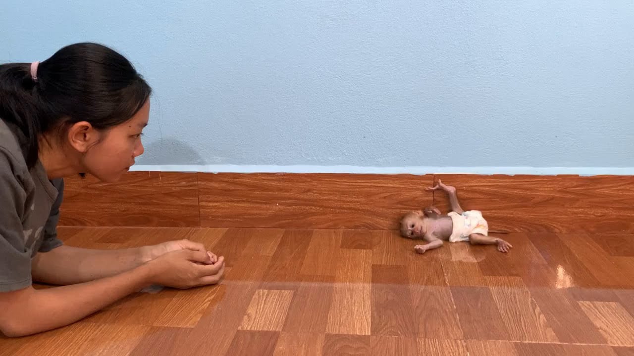 Oops..!! Saddd BB mnkey sleeping & rolling anqrrii mom on floor a loneee