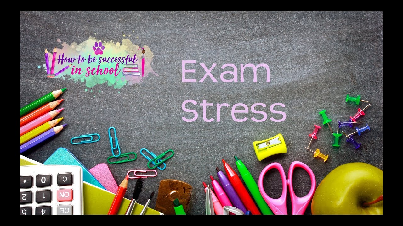 5 WAYS TO DEAL WITH EXAM STRESS FROM PRIMROSE KITTEN - YouTube