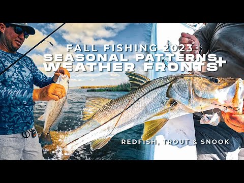 Redfish, Trout, Snook: Patterns and Weather Fronts Saltwater Fishing Tips | Fall Fishing 2023