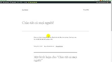 Chèn code vào từng trang riêng biệt trên website WordPress