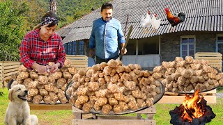 An Unusual Vegetable Under the Soil  Jerusalem Artichoke | The Most Underrated Vegetable!