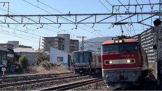 【貨物列車】EF510 10「レッドサンダー」+コキ19B