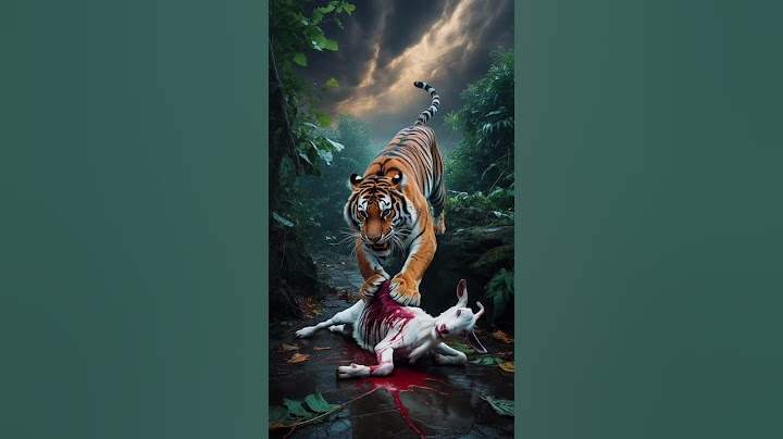 🐐 The Goat and the Big Tiger 🐅A Story of a Brave Goat