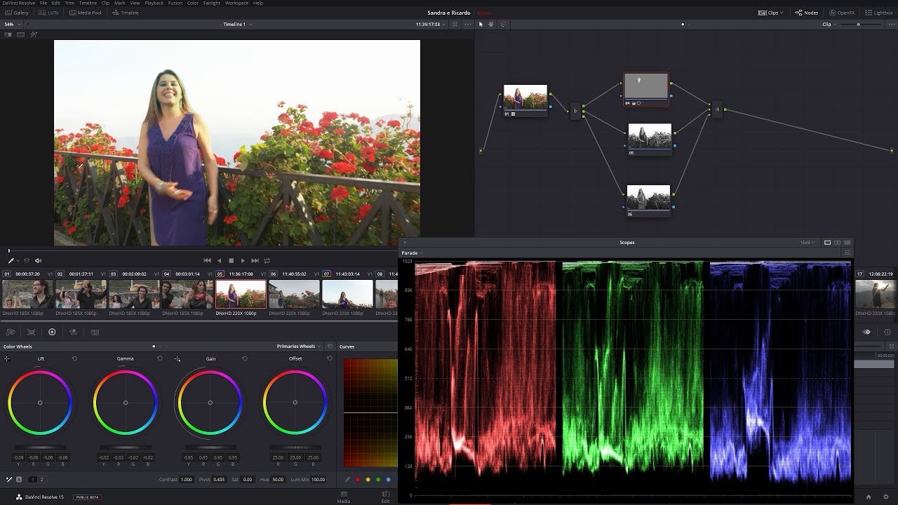 DaVinci Resolve 14 infographie