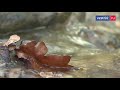 В Севастополе обильные осадки заполнили Чернореченское водохранилище до 24%