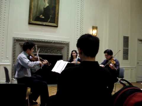 Hadyn - String Quartet Op. 20 No. 1 II: Menuet, un...