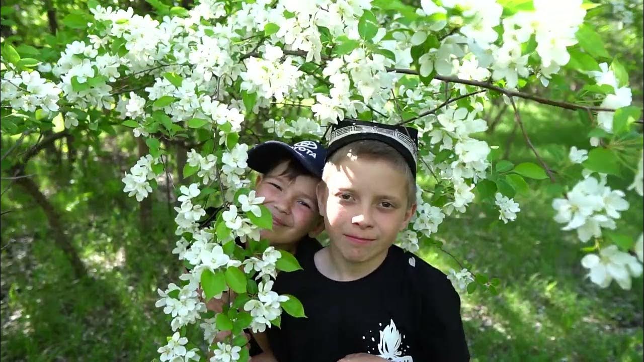 Жди и помни меня - YouTube