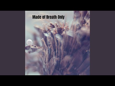 What The Wind Remembers