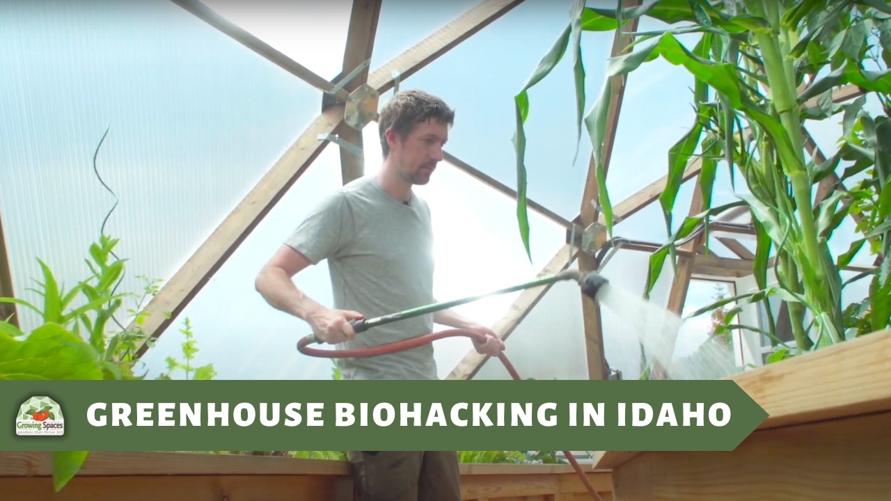 Dome Sweet Dome: Growing Avocados and Citrus in Northern Idaho