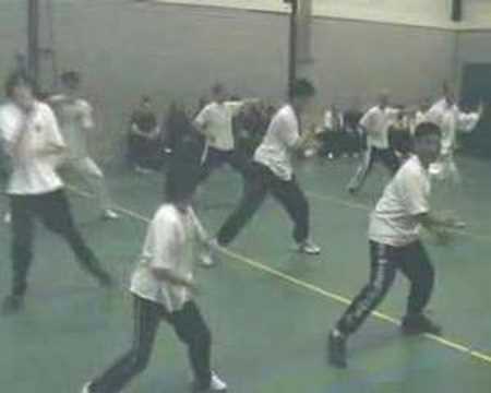 Choy Lee Fat training "Wu Lun Ma"