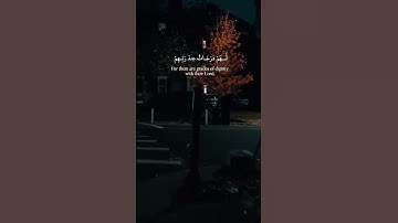 كمية الخشوع في هذة تلاوة 🥺❤️