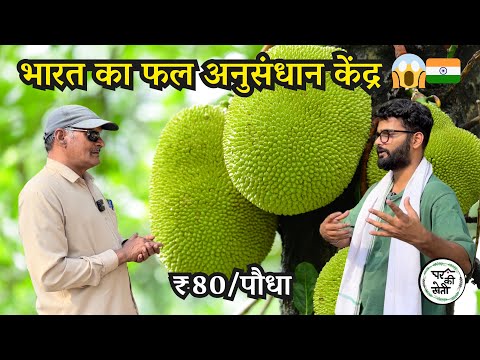 How to Start a Fruit Farm ? Must Visit 🌳💯🚜 Government Institute Fruit Research Station Bhopal