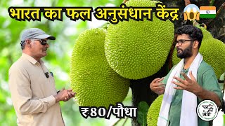 अपना Fruit Farm शुरू करें!  Research Center से पाएँ High Quality Plants और Expert Guidance! 🥭🍋
