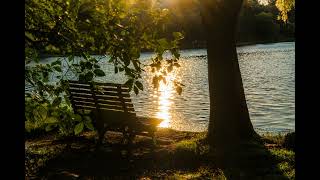 💫 Floating Dreams Piano | Peaceful Music Playlist
