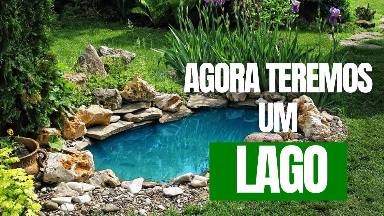 Vamos fazer um lago ornamental #lagos #tartarugas #repteis 
