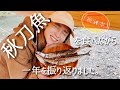 【デイキャン】秋の味覚を味わいながら1年を振り返る【LaLa_Camp】