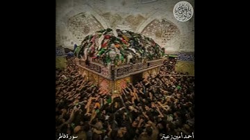 والذين تدعون من دونهِ ،ما تيسر من سورة فاطر ،أحمد أمين زعيتر