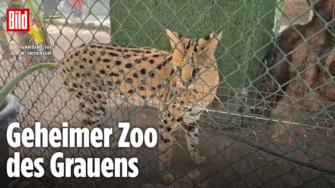 Spanien: Polizei findet illegalen Privat-Zoo mit 150 exotischen Tieren