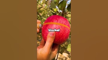 Your appointment has been moved.