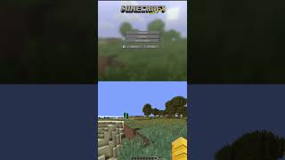Minecraft Panorama Seed Moment