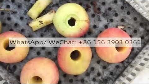 Apple core remover machine | Apricot jujube olive date fruit pitting machine