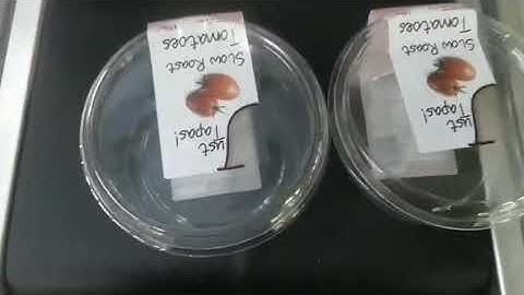 Auto sticker plastic Box C-WRAP Labeling machine for sealing