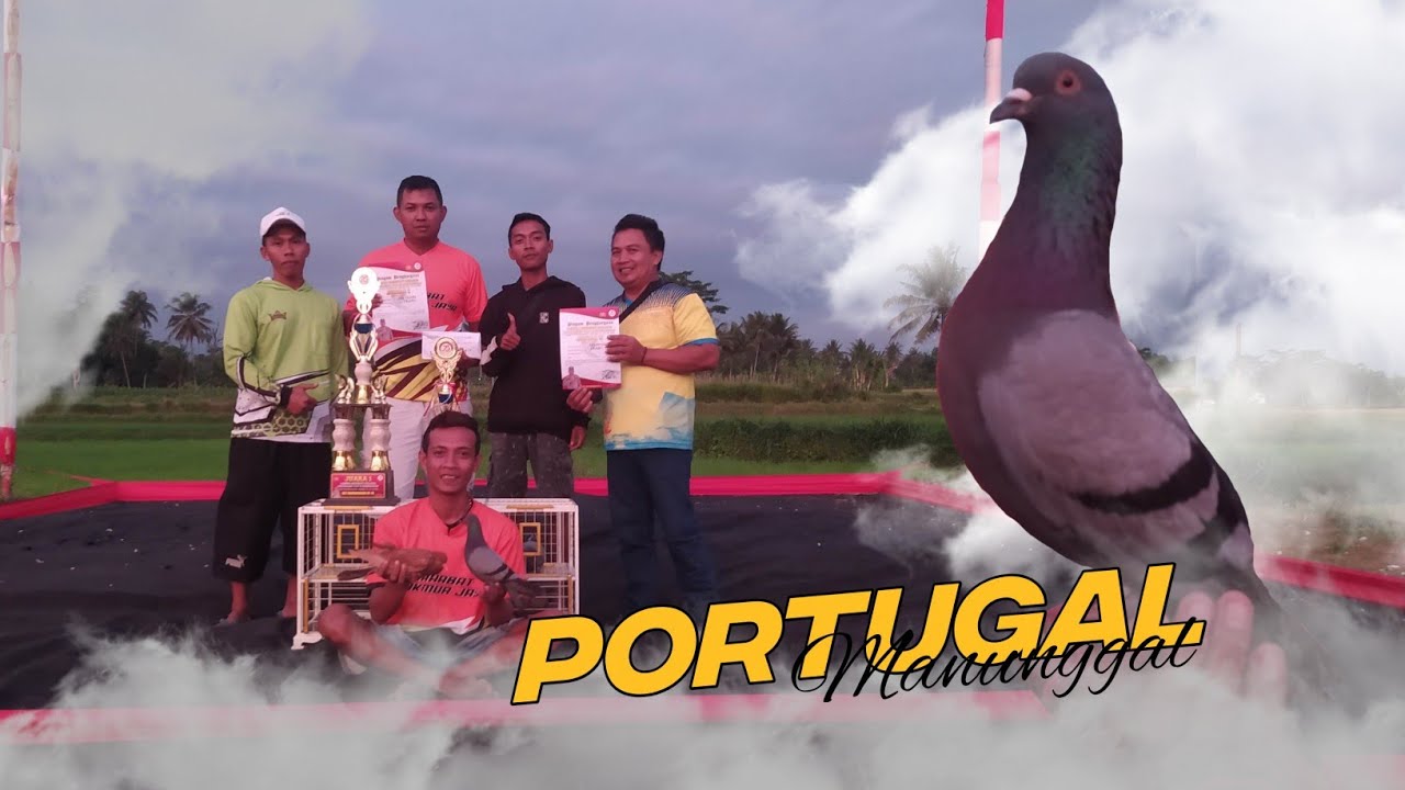 INI BURUNG APA BATU PAKK !!! KAPOLSEK CUP 2 SAWANGAN LAPAK LPG BEDOGAN SAWANGAN MAGELANG