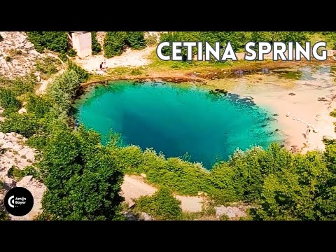 Cetina Spring, Izvor