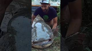 Ho pescato un pesce Siluro da 100 kg a Spinning #siluro #fishing #cstfishing #YuriGrisendi