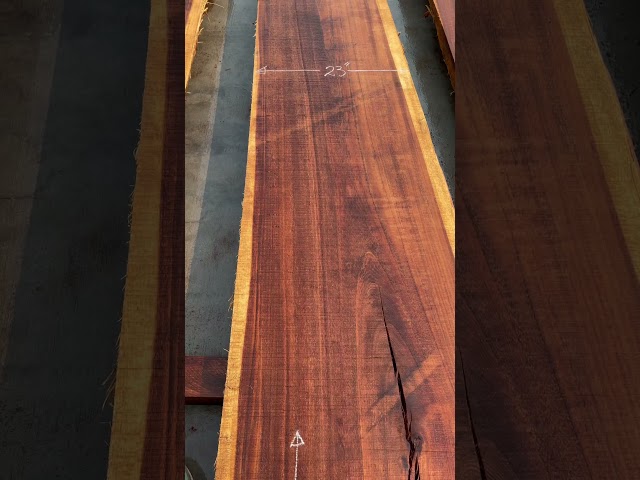 Monkey Pod Rain Tree Live Edge Slab #17