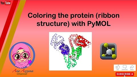 Coloring the protein ribbon structure with PyMOL