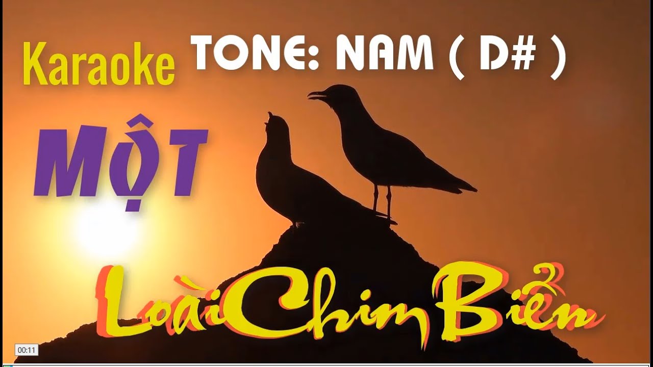 Karaoke - MỘT LOÀI CHIM BIỂN - Tone: Nam ( D# ) st: Nguyễn Vũ