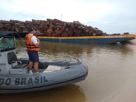 Operação Verde Brasil 2: Forças Armadas apreendem comboios com madeira em plena noite de Natal