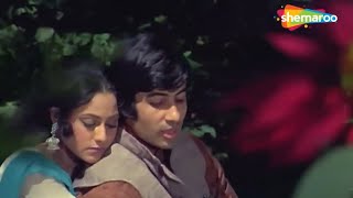 Patta Patta Boota Boota | Ek Nazar (1972) | Amitabh Bachchan | Jaya Bhaduri | Lata M, Mohd Rafi
