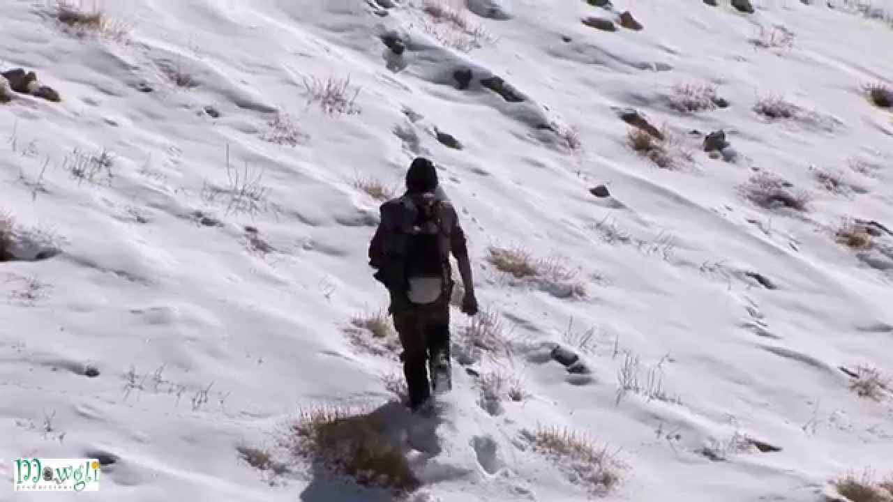 Naturalist Following Snow Leopard Pugmarks