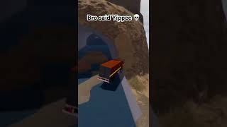 Im A Real Truck Driver