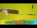 снасть с одним крючком / запрет /рыбалка -это жизнь