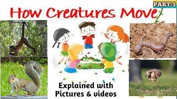 HOW CREATURES MOVE | Class 3 English Unit 10  | HOW CREATURES MOVE Poem Hindi Explanation