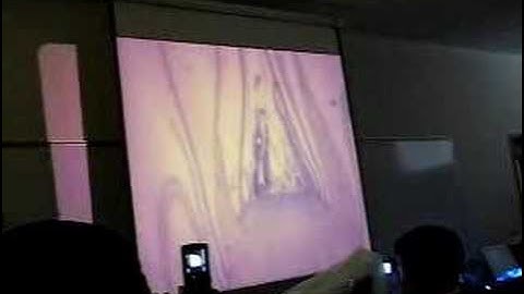 Botany 3: Bryophytes